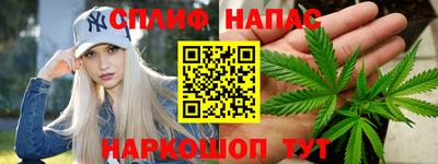 спайс Гагарин