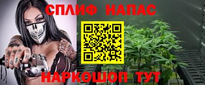mdma Гатчина