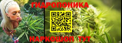 прущие грибы Абинск