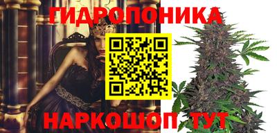 спайс Гагарин