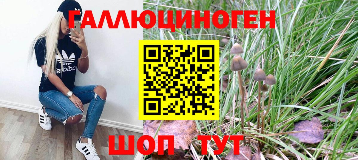 Круглые  Конопля  КОКАИН  Вход с VPN  Мефедрон  MDMA  Мефедрон  Корсаков  CBD масло  НБОМе  A PVP  ГАШ  Кетыч 