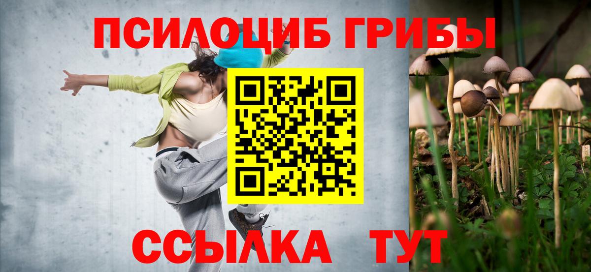 Галлюциногенные грибы прущие грибы Корсаков