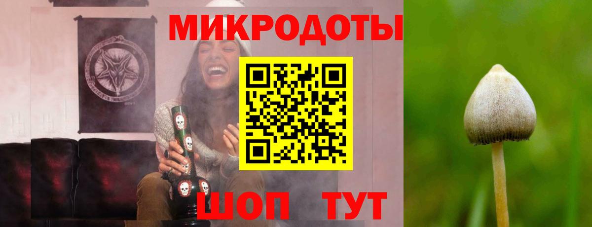Галлюциногенные грибы Cubensis  цена наркотик  Вход с VPN  Корсаков  Галлюциногенные грибы GOLDEN TEACHER 