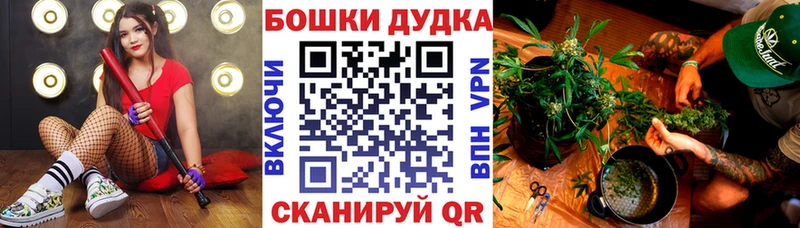 Шишки марихуана гибрид  блэк спрут зеркало  Корсаков 